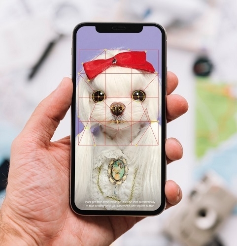 블록펫(Blockpet)의 펫신원인증기술